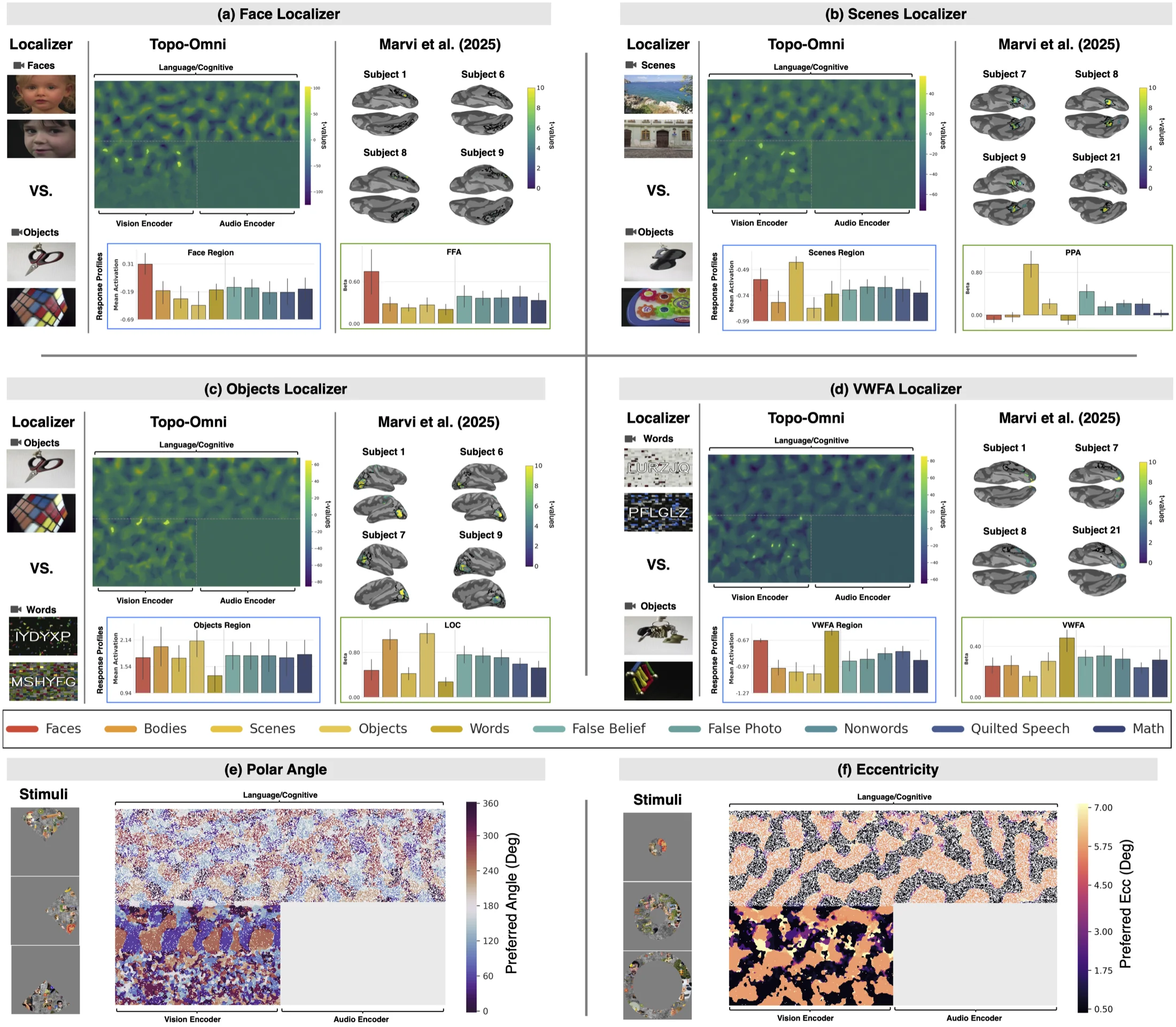 Topo-Omni develops category-selective regions for faces, scenes, objects, and word forms in its vision encoder, alongside retinotopic maps of polar angle and eccentricity, each compared against human fMRI selectivity maps and response profiles from Marvi et al. 2025.